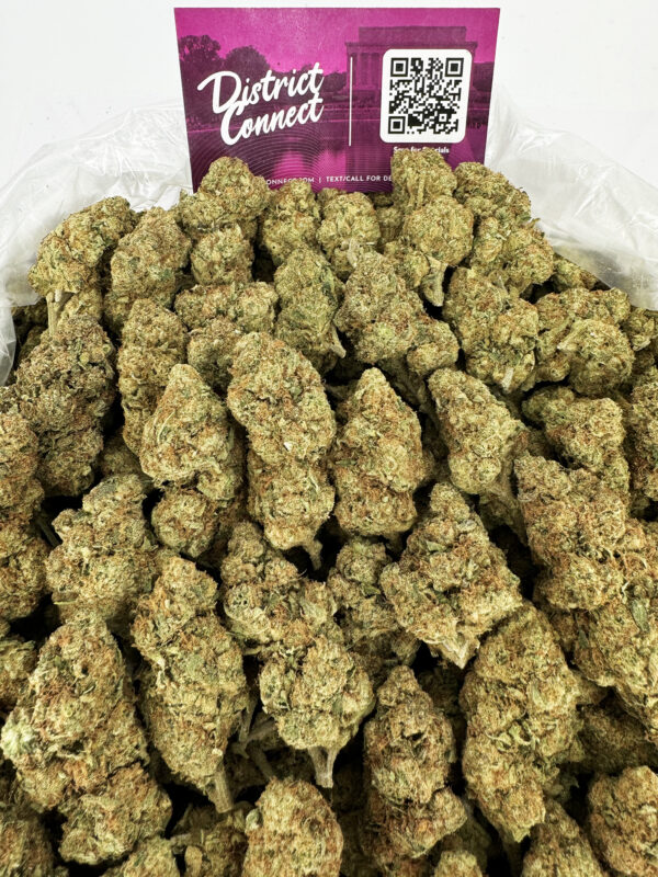 Purple Punch Strain District Connect Richmond weed delivery