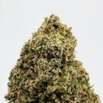 Blue Dream Strain District Connect Virginia weed delivery