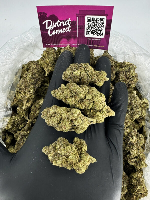 Kush Mint Strain District Connect washington dc weed delivery