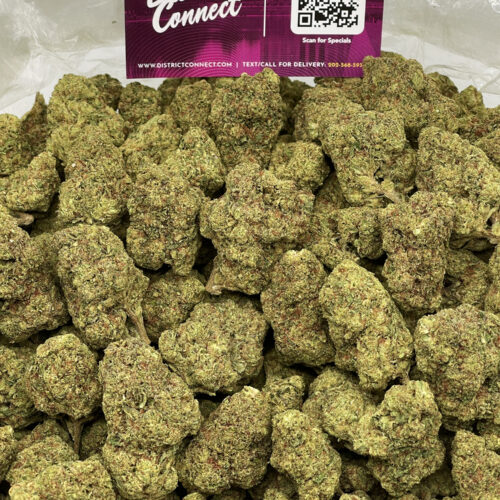 Grandi Guava Premium **OUT OF STOCK** - District Connect - Washington ...