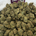 Golden Goat Strain District Connect washington dc weed delivery