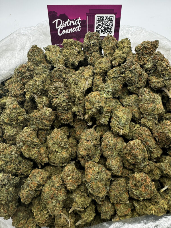 Golden Goat Strain District Connect washington dc weed delivery