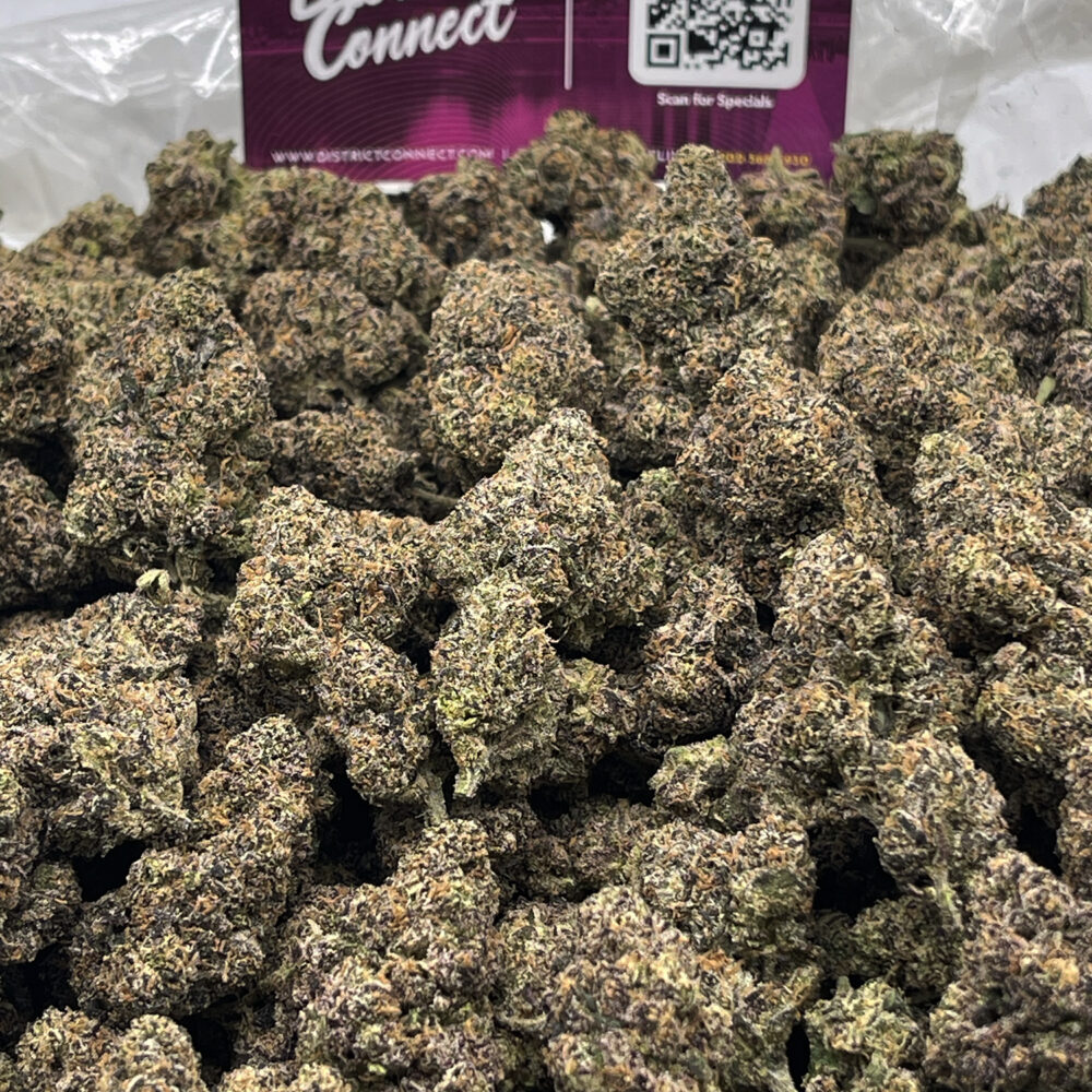 Lemon Cherry Gelato Exclusive *OUT OF STOCK** - District Connect ...