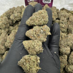 Grape Ape Strain District Connect virginia weed delivery