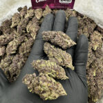 Purple Cherries Strain District Connect washington dc weed delivery