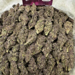 Purple Cherries Strain District Connect virginia weed delivery