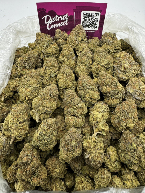 Bacio Gelato Strain District Connect washington dc weed delivery