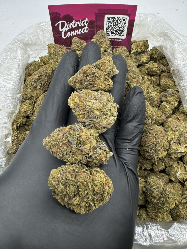 Bacio Gelato Strain District Connect maryland weed delivery