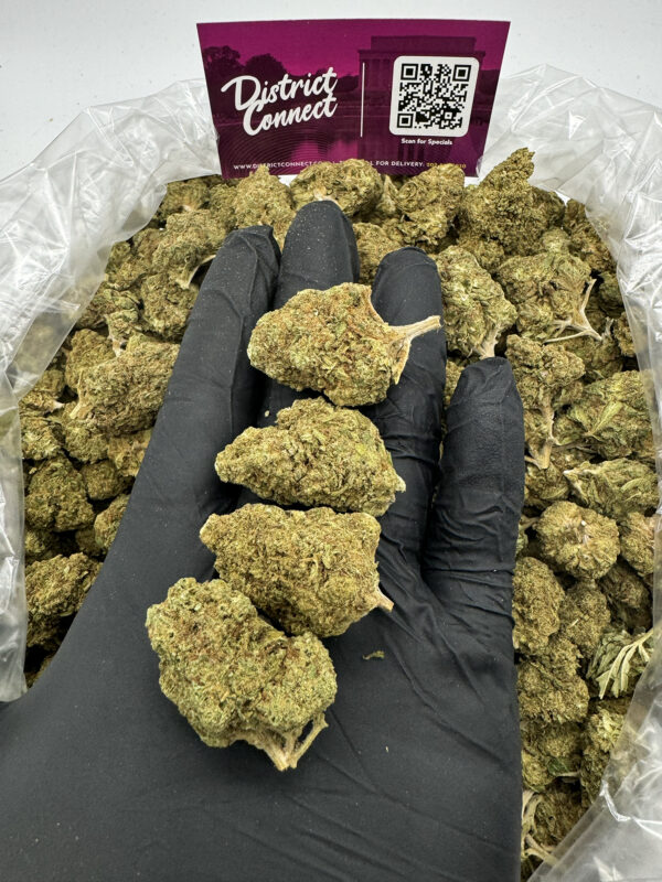 GMO MAC Strain District Connect maryland weed delivery