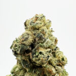 Garlic Cookies Strain District Connect virginia weed delivery