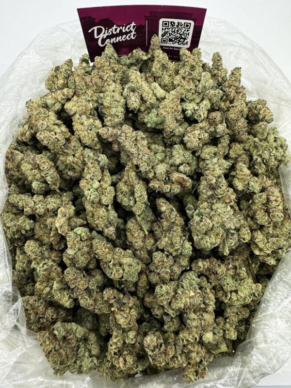 Garlic Cookies Strain District Connect washington dc weed delivery