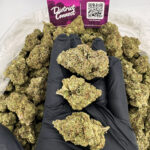 Purple Nerds Strain District Connect Maryland weed delivery