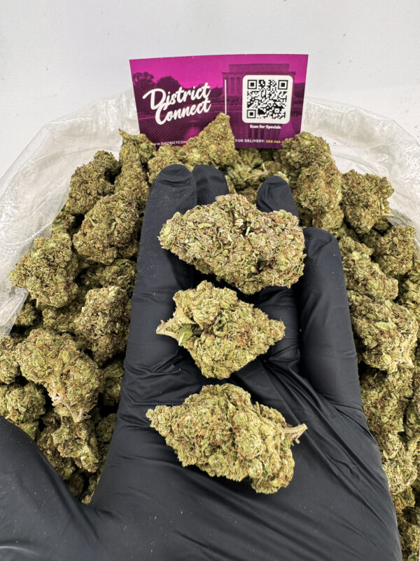 Purple Nerds Strain District Connect Maryland weed delivery