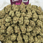 White Gorilla Strain District Connect washington dc weed delivery