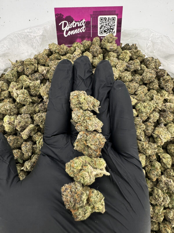 Purple Urkle Strain District Connect Richmond weed delivery