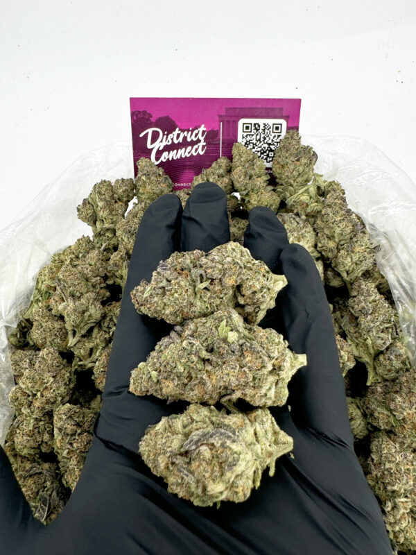 Diamond Cookies Strain District Connect Virginia dc weed delivery