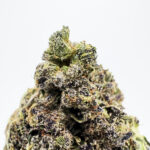 Miami Haze Strain District Connect dmv weed delivery