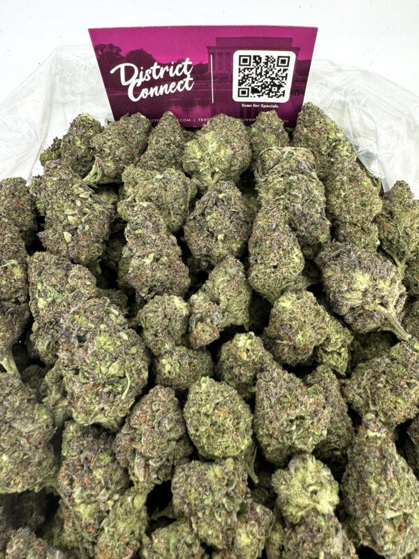 Purple Diesel Strain District Connect Richmond weed delivery