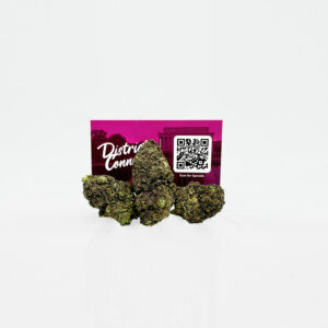 Purple Diesel Strain District Connect washington dc weed delivery