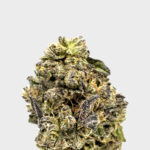 Thin Mint Girl Scout Cookies Strain District Connect virginia weed delivery