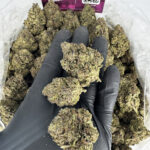 Purple Sundae Strain District Connect Richmond weed delivery