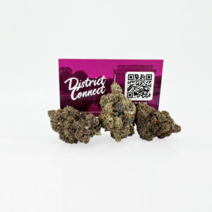 Purple Mendo Kush Strain District Connect washington dc weed delivery